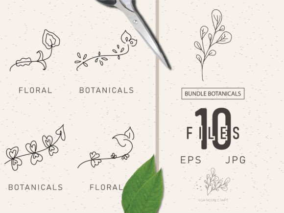 Download Floral Element Bundle 49 - Floral element Collection