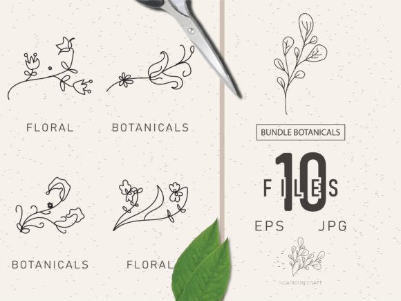 Download Floral Element Bundle 46 - Floral element Collection